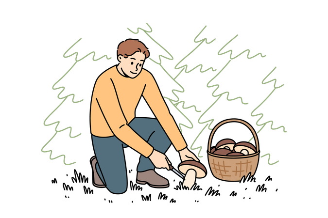 Homme ramassant des champignons dans un panier  Illustration