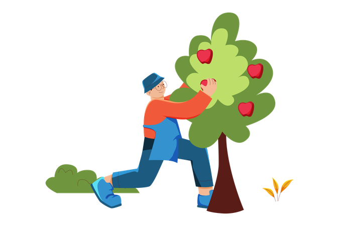 Homme récoltant une pomme  Illustration