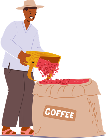 Un homme verse des cerises de café rouges dans un sac symbolisant l'étape de la collecte en vrac dans la production de café  Illustration