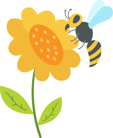 꽃에서 꿀을 모으는 꿀벌  일러스트레이션