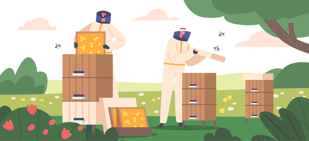 Honey Production  Illustration