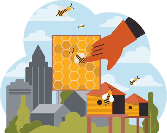 Honeybee farming  Illustration