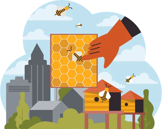 Honeybee farming  Illustration