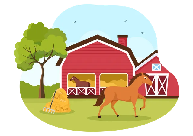 Horse Riding Cartoon Illustration With Cute People Character Practicing Horseback Ride Or Equestrianism Sports In The Green Field Illustration