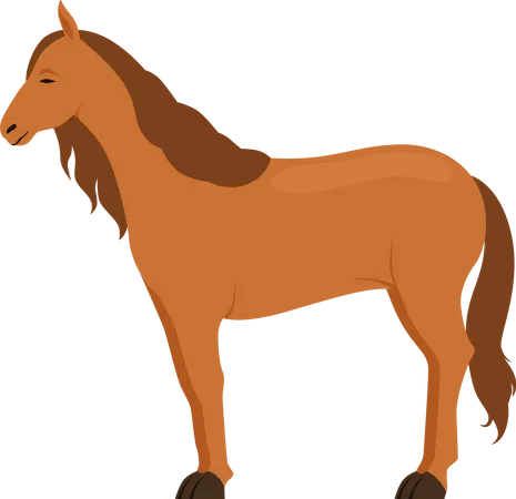 Horse  Illustration