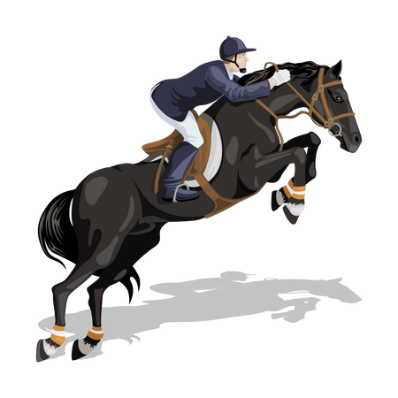 Horse rider Illustration
