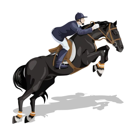 Horse rider Illustration