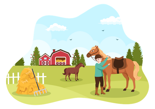 Horse Training Illustration