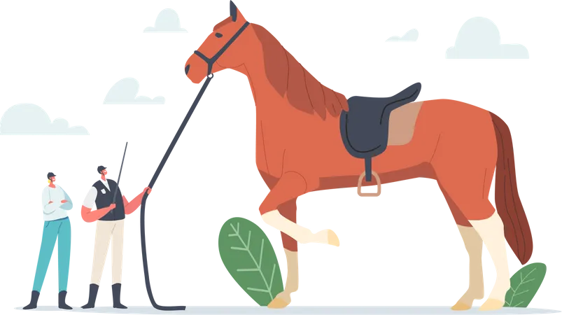 Equestrian Sport And Horse Training Concept Tiny Trainer And Jockey Characters Near Huge Thoroughbred Stallion Prepare And Train Animal For Club Competition Cartoon People Vector Illustration イラスト