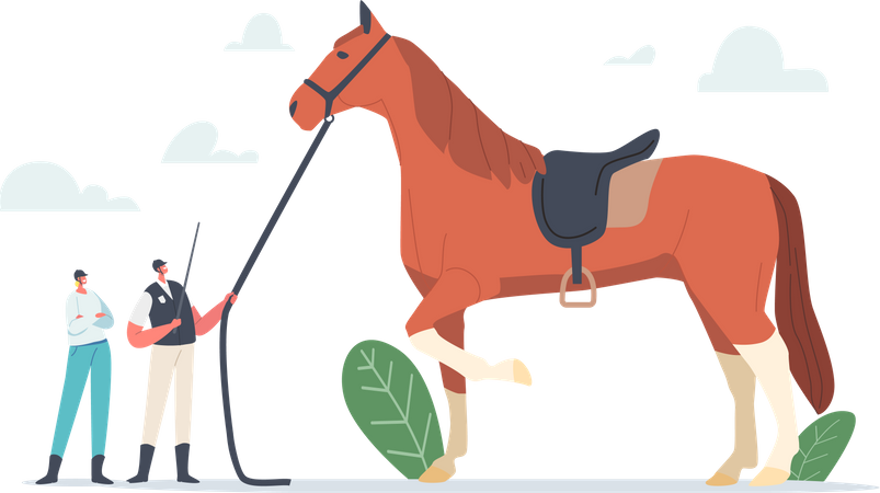 Horse training by jockey  Illustration