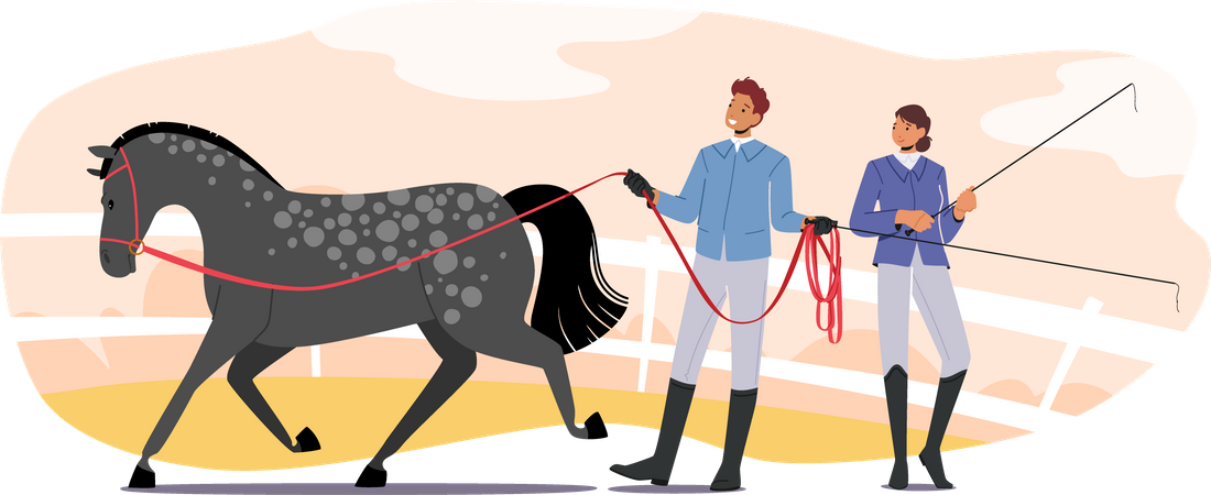 Horse Training  Illustration