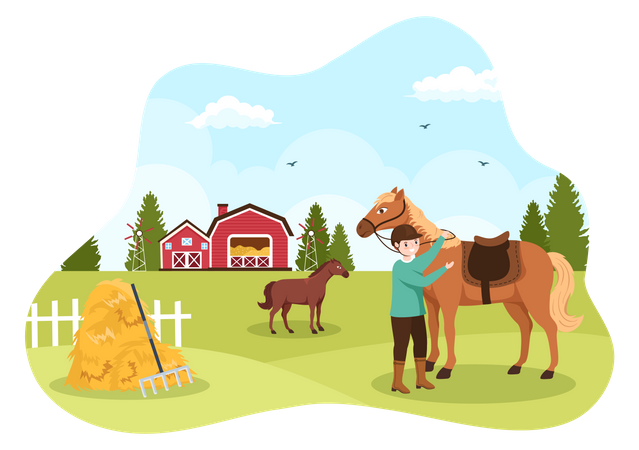 Horse Training  Illustration