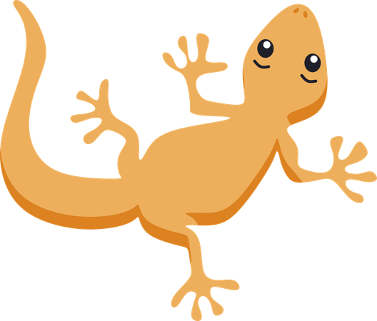 House Lizard  Illustration