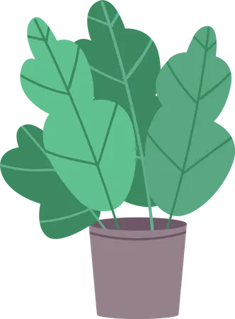 House plant Illustration