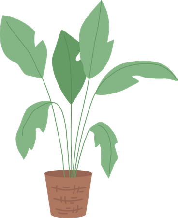 Houseplant for interior decor  Illustration