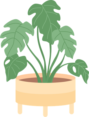 Houseplant for office interior decor  Illustration