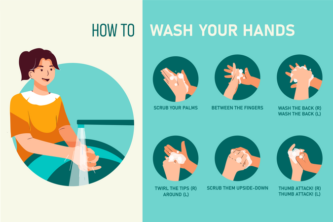 How to Wash Your Hands Steps  Illustration