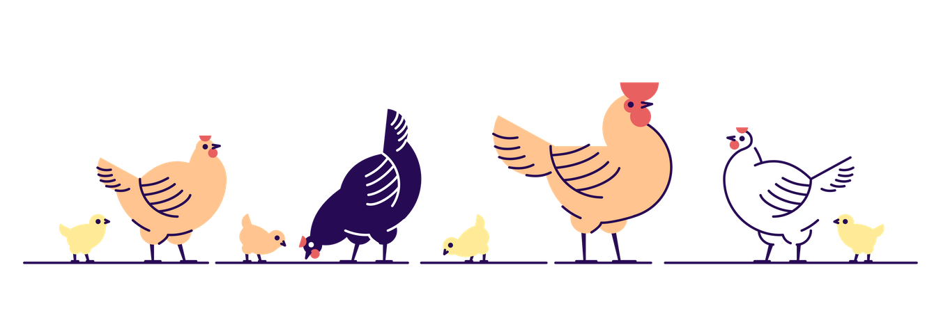 Hühner  Illustration