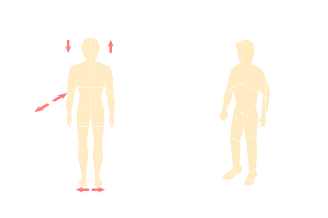 Human Body Anatomical Planes  Illustration