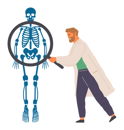 Human Body Anatomy  Illustration