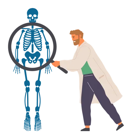 Human Body Anatomy Illustration