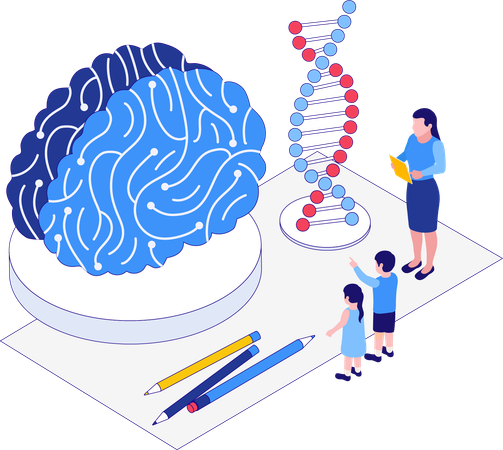 Human Brain Education  Illustration