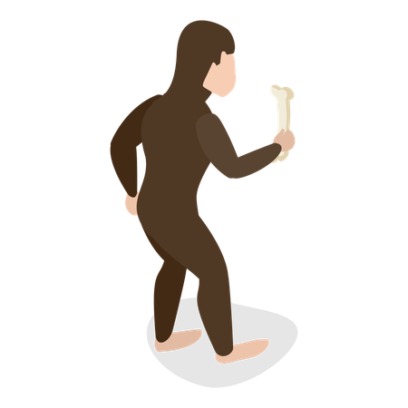 Human Evolution  Illustration