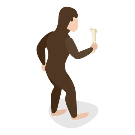 Human Evolution  Illustration