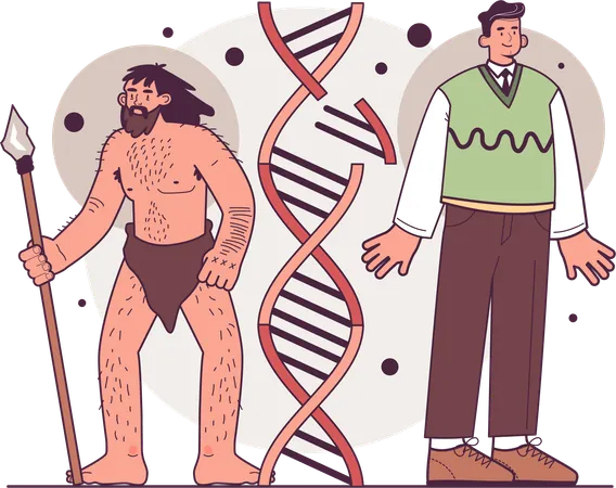 Human evolution stages  Illustration