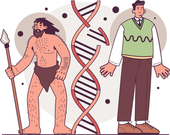 Human evolution stages  Illustration