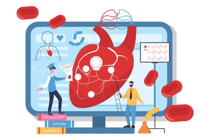 Human internal heart organs  Illustration