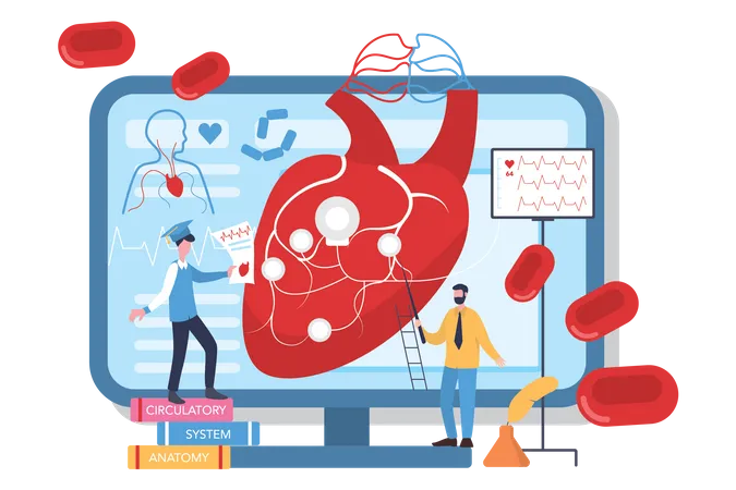 Human internal heart organs  Illustration