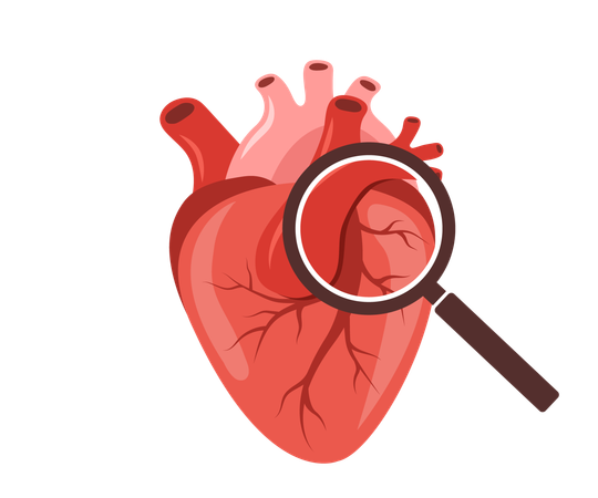 Human internal organ with large magnifier  Illustration