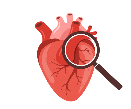 Human internal organ with large magnifier  Illustration