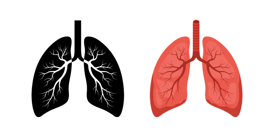 Human lung icon. Red and black Internal organ. Pulmonology and anatomy concept. Medical Vector illustration in flat cartoon style  Illustration
