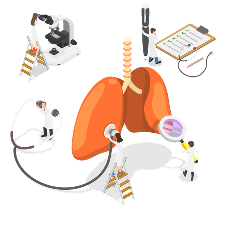 Human respiratory ventilatory system  Illustration