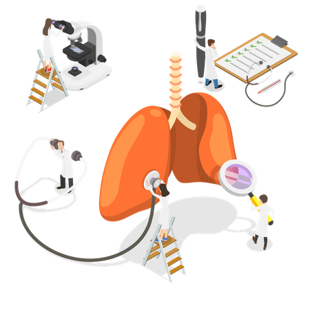 Human respiratory ventilatory system  Illustration