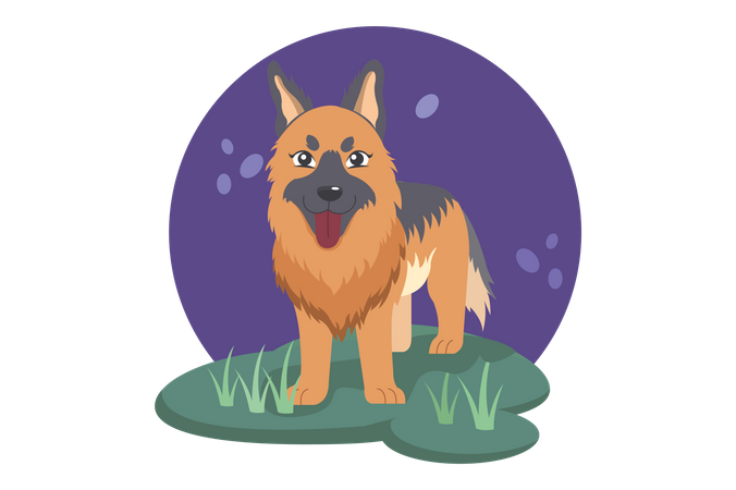 Hund  Illustration