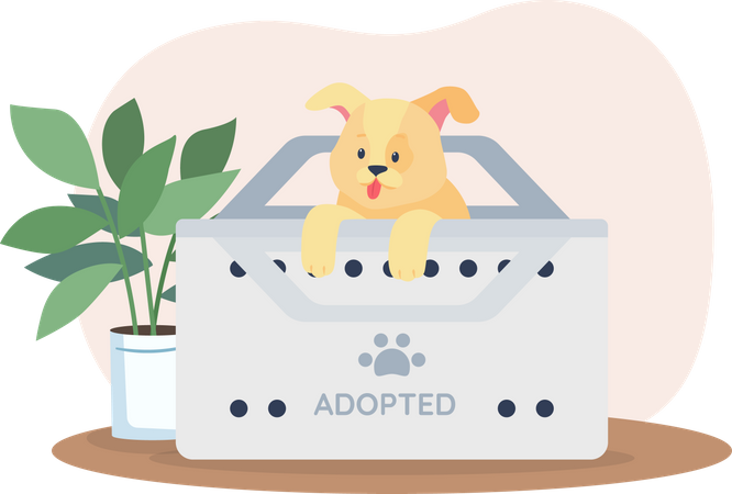 Hund in Adoptionsbox  Illustration