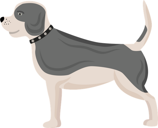 Hund mit grauen Flecken  Illustration