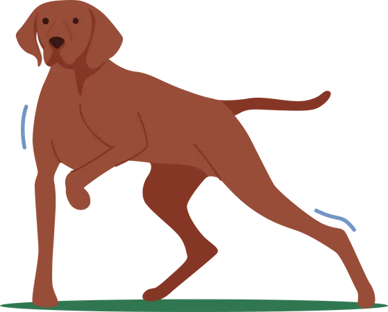Hunter Dog Stand with Raised Paw  Illustration
