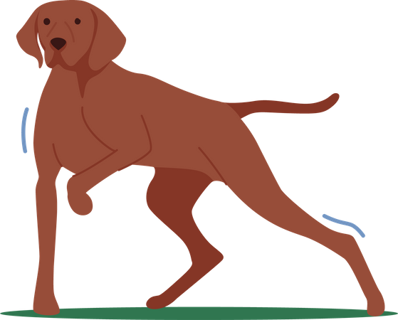 Hunter Dog Stand with Raised Paw  Illustration