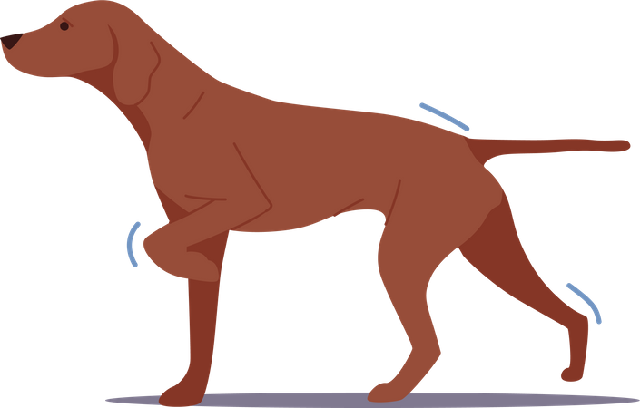 Hunter dog walking  Illustration