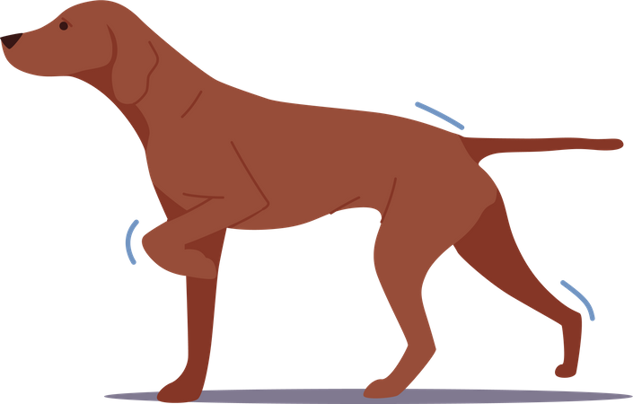 Hunter dog walking  Illustration