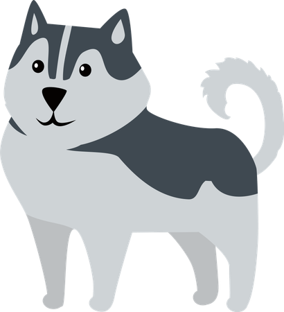 Husky siberiano  Ilustración