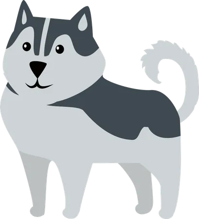 Husky siberiano  Ilustração