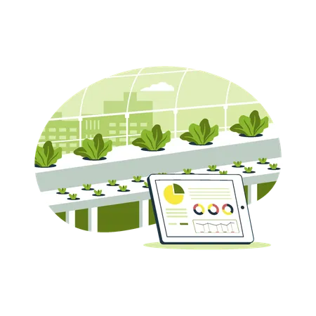 Hydroponic Plant Farming Technology Smart Farm Illustration Concept Vector Illustration Flat Concept Illustration