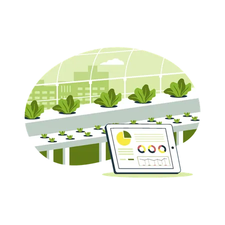 Hydroponic plant farming technology.  Illustration