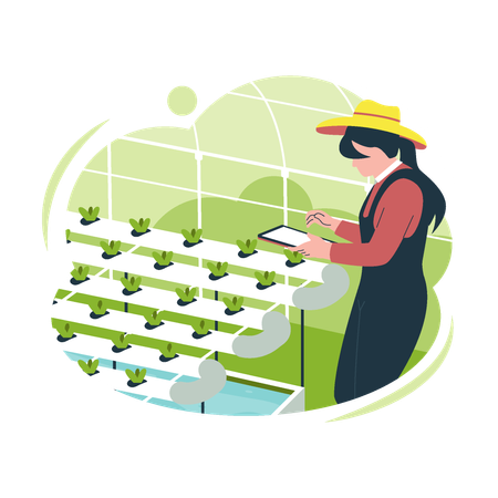 Hydroponic plant farming technology  Illustration