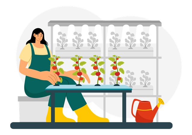 Hydroponics Technology  Illustration